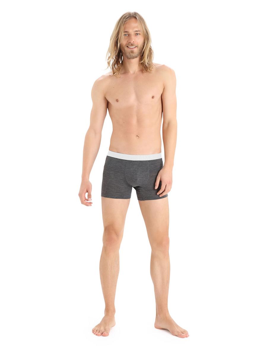 Icebreaker Cool-Lite™ Merino Anatomica Boxers Férfi Fehérnemű Taupe | HU 1319VRWD